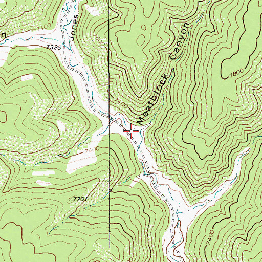 Topographic Map of Meatblock Canyon, NM
