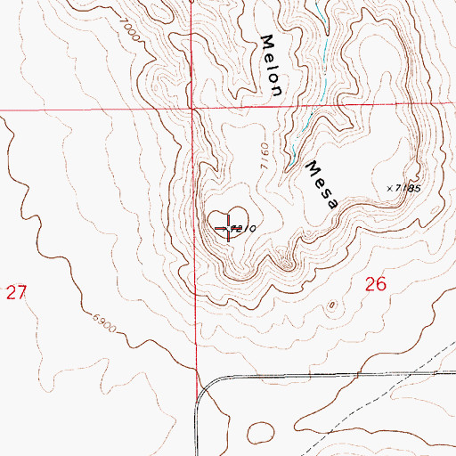 Topographic Map of Melon Mesa, NM