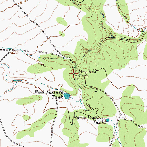 Topographic Map of Mesa Rica Camp, NM