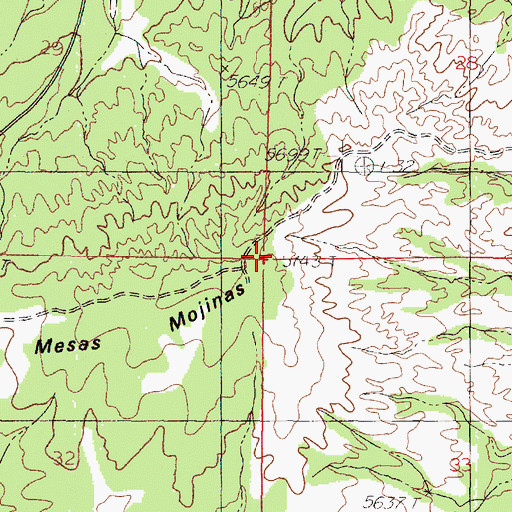 Topographic Map of Mesas Mojinas, NM
