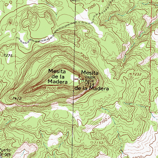 Topographic Map of Mesita de la Madera, NM