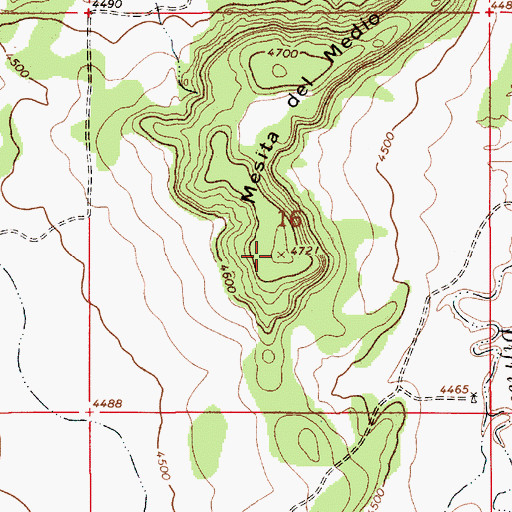 Topographic Map of Mesita del Medio, NM