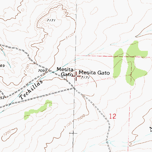 Topographic Map of Mesita Gato, NM