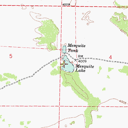 Topographic Map of Mesquite Lake, NM