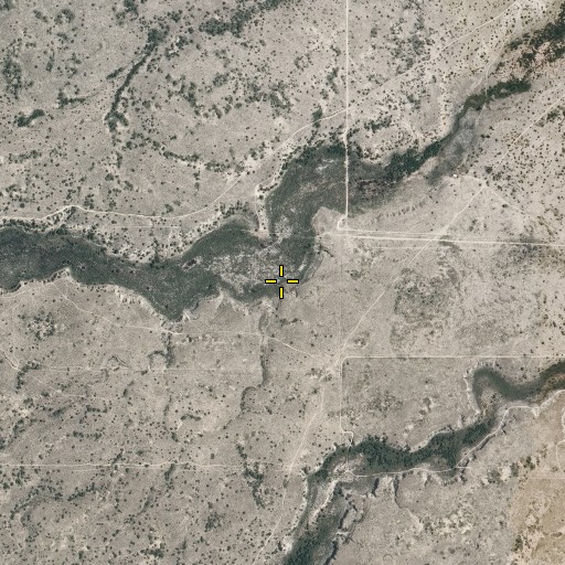 Aerial/Satellite Image of Mesquite Spring, NM