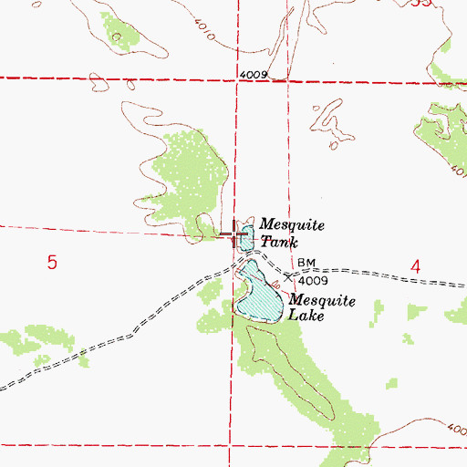Topographic Map of Mesquite Tank, NM