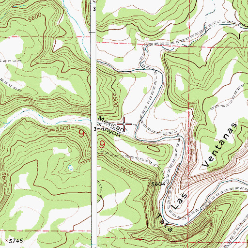 Topographic Map of Mexican Canyon, NM