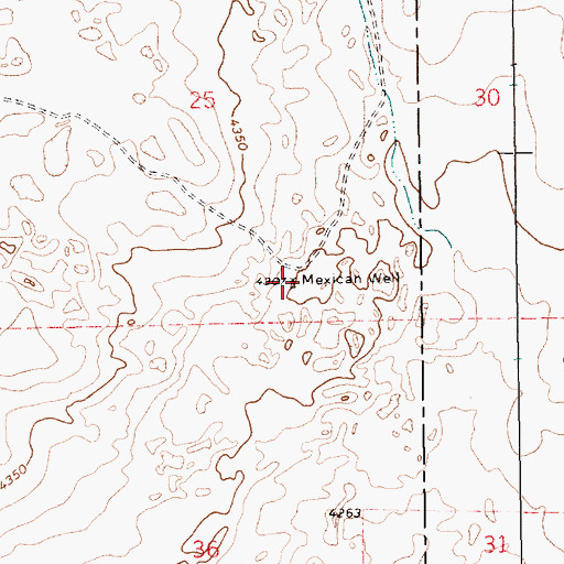 Topographic Map of Mexican Well, NM