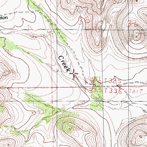 Topographic Map of Middle Fork Brushy Creek, NM