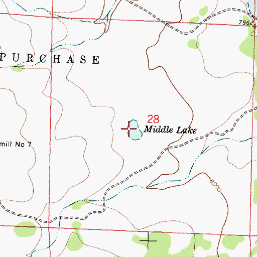 Topographic Map of Middle Lake, NM