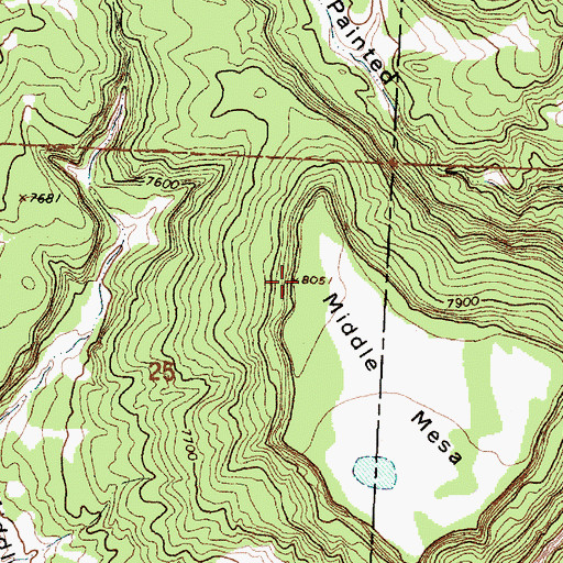 Topographic Map of Middle Mesa, NM