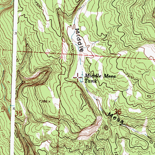 Topographic Map of Middle Mesa Tank, NM