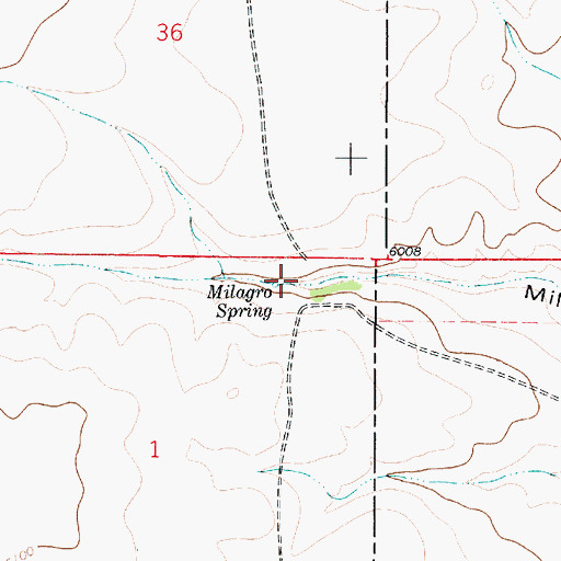 Topographic Map of Milagro Spring, NM
