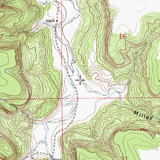 Topographic Map of Miller Canyon, NM