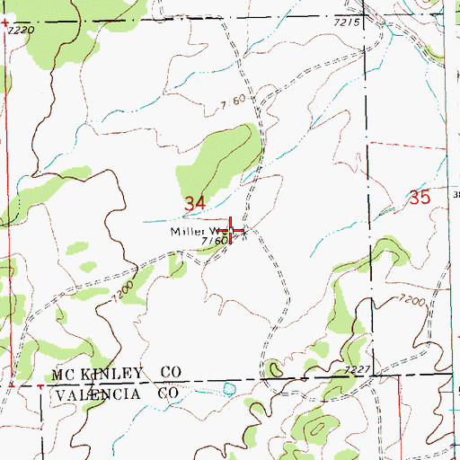 Topographic Map of Miller Well, NM