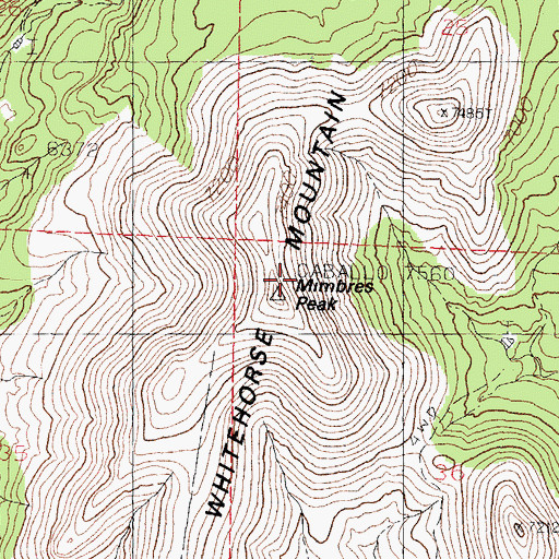 Topographic Map of Mimbres Peak, NM