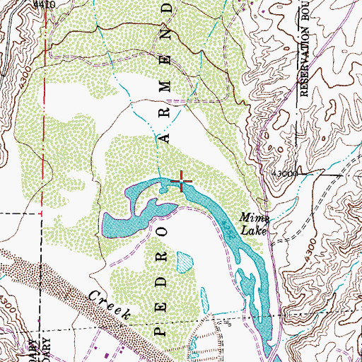 Topographic Map of Mims Lake, NM