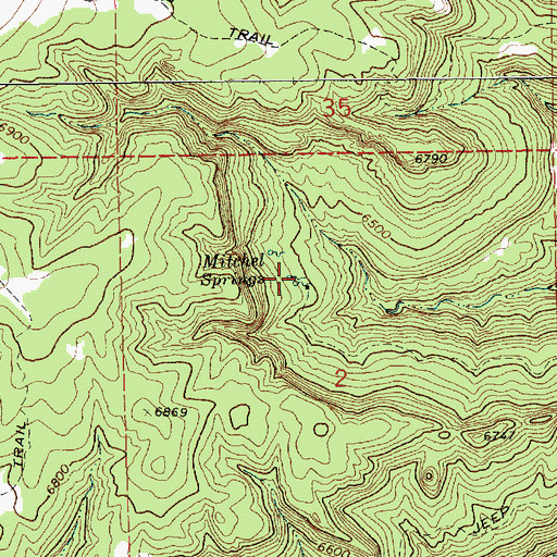 Topographic Map of Mitchel Springs, NM
