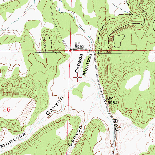 Topographic Map of Montosa Canyon, NM