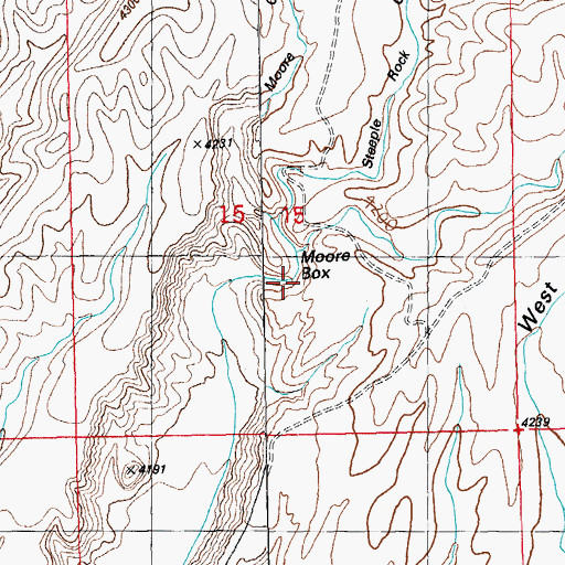 Topographic Map of Moore Box, NM
