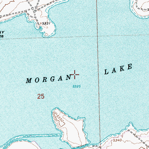 Topographic Map of Morgan Lake, NM