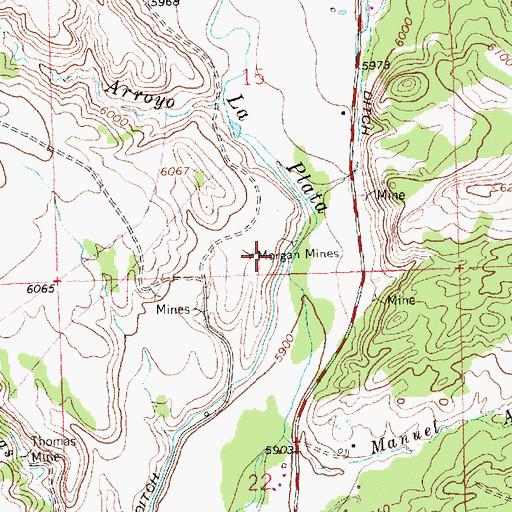 Topographic Map of Morgan Mines, NM