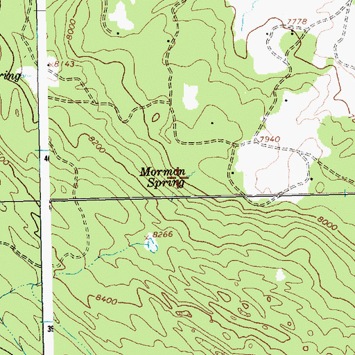 Topographic Map of Mormon Spring, NM