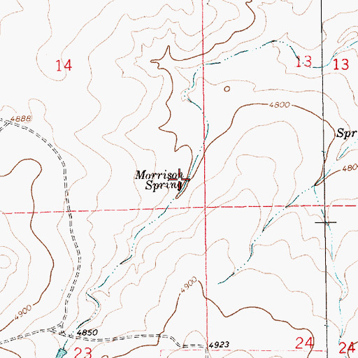 Topographic Map of Morrison Spring, NM