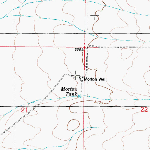 Topographic Map of Morton Well, NM