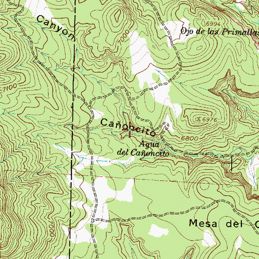 Topographic Map of Moses Canyon, NM