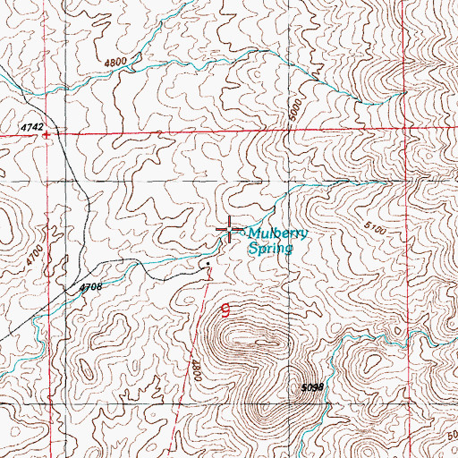Topographic Map of Mulberry Spring, NM