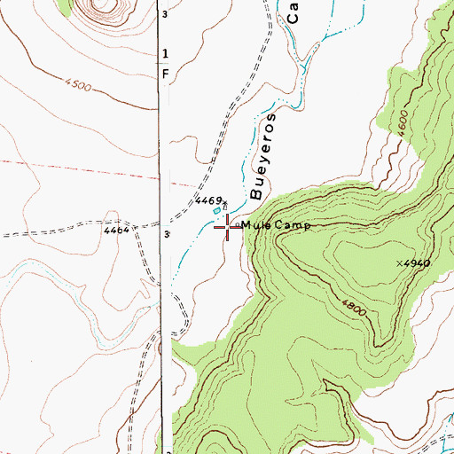 Topographic Map of Mule Camp, NM