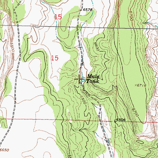 Topographic Map of Mule Tank, NM
