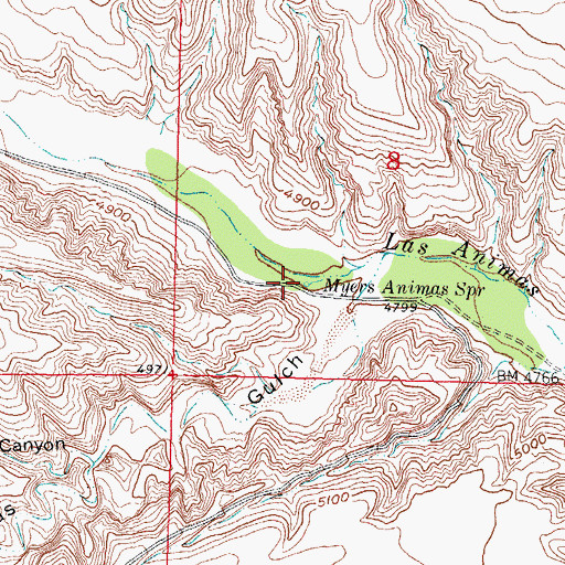 Topographic Map of Myers Animas Spring, NM