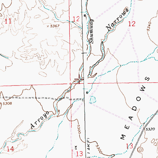 Topographic Map of Narrows Wash, NM