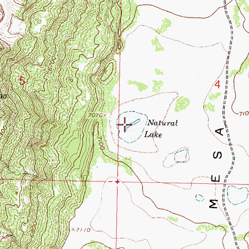 Topographic Map of Natural Lake, NM