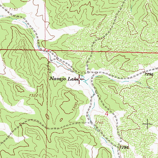 Topographic Map of Navajo Lake, NM