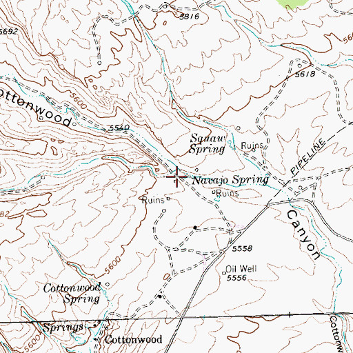 Topographic Map of Navajo Spring, NM