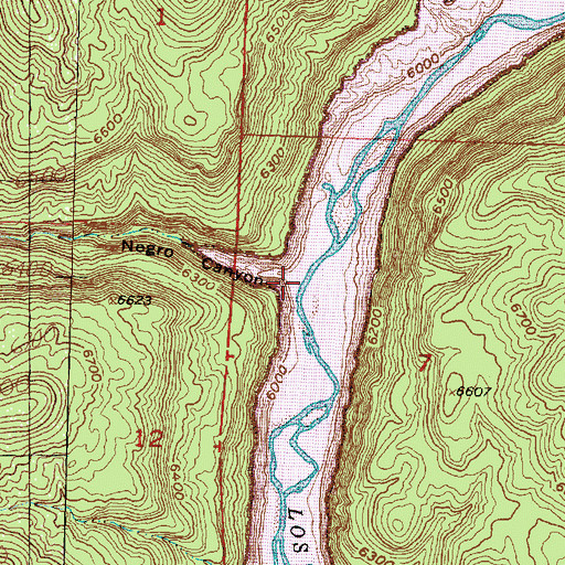 Topographic Map of Negro Canyon, NM