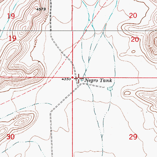 Topographic Map of Negro Tank, NM