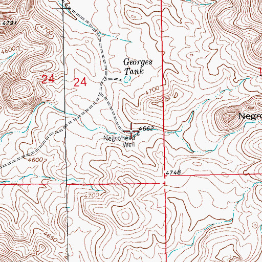 Topographic Map of Negrohead Well, NM