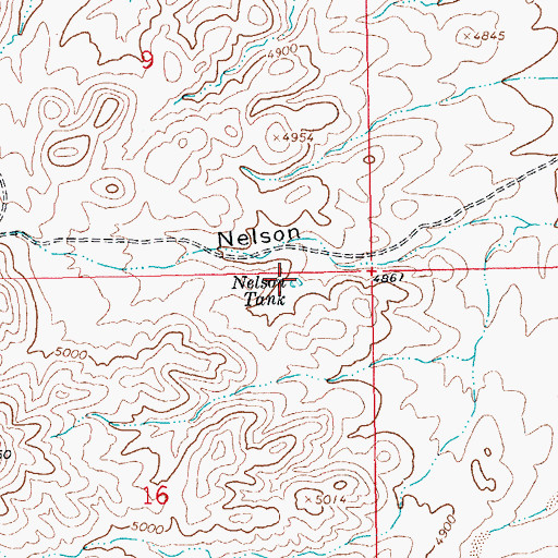 Topographic Map of Nelson Tank, NM