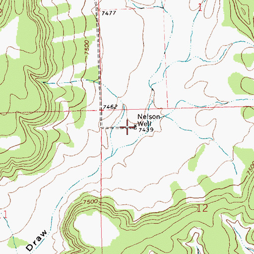 Topographic Map of Nelson Well, NM