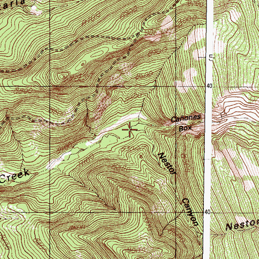 Topographic Map of Nestor Canyon, NM
