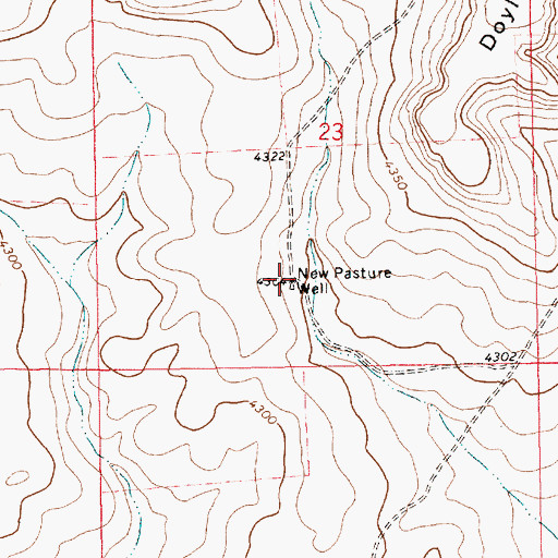 Topographic Map of New Pasture Well, NM