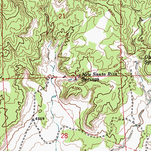 Topographic Map of New Santa Rita Springs, NM