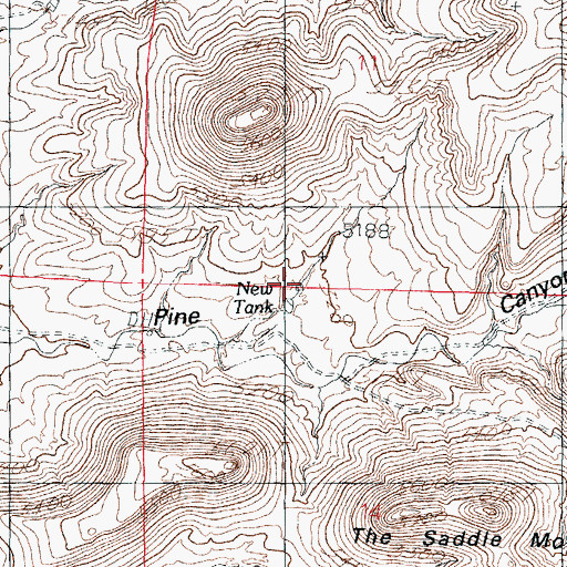 Topographic Map of New Tank, NM