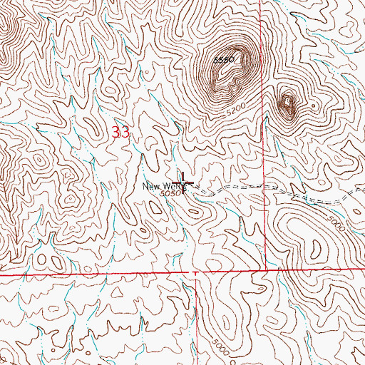 Topographic Map of New Well, NM