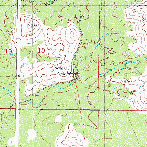 Topographic Map of New Well, NM