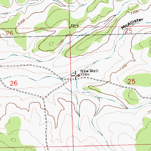 Topographic Map of New Well, NM